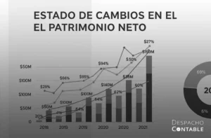 ¿Qué es el Estado de Cambios en el Patrimonio Neto?